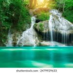 5月在线直播盛宴:精彩内容不容错过 a31ney9bp