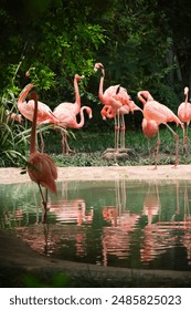 MBN直播平台最新热门节目精彩看点全解析 MBN直播平台最新热门节目精彩看点全解析