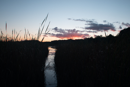 MMA直播吧：热血格斗巅峰对决在线观看